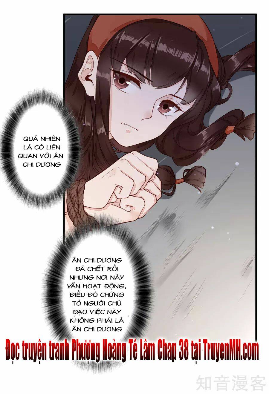 Phượng Hoàng Tê Lâm - Chapter 37 - Page 15