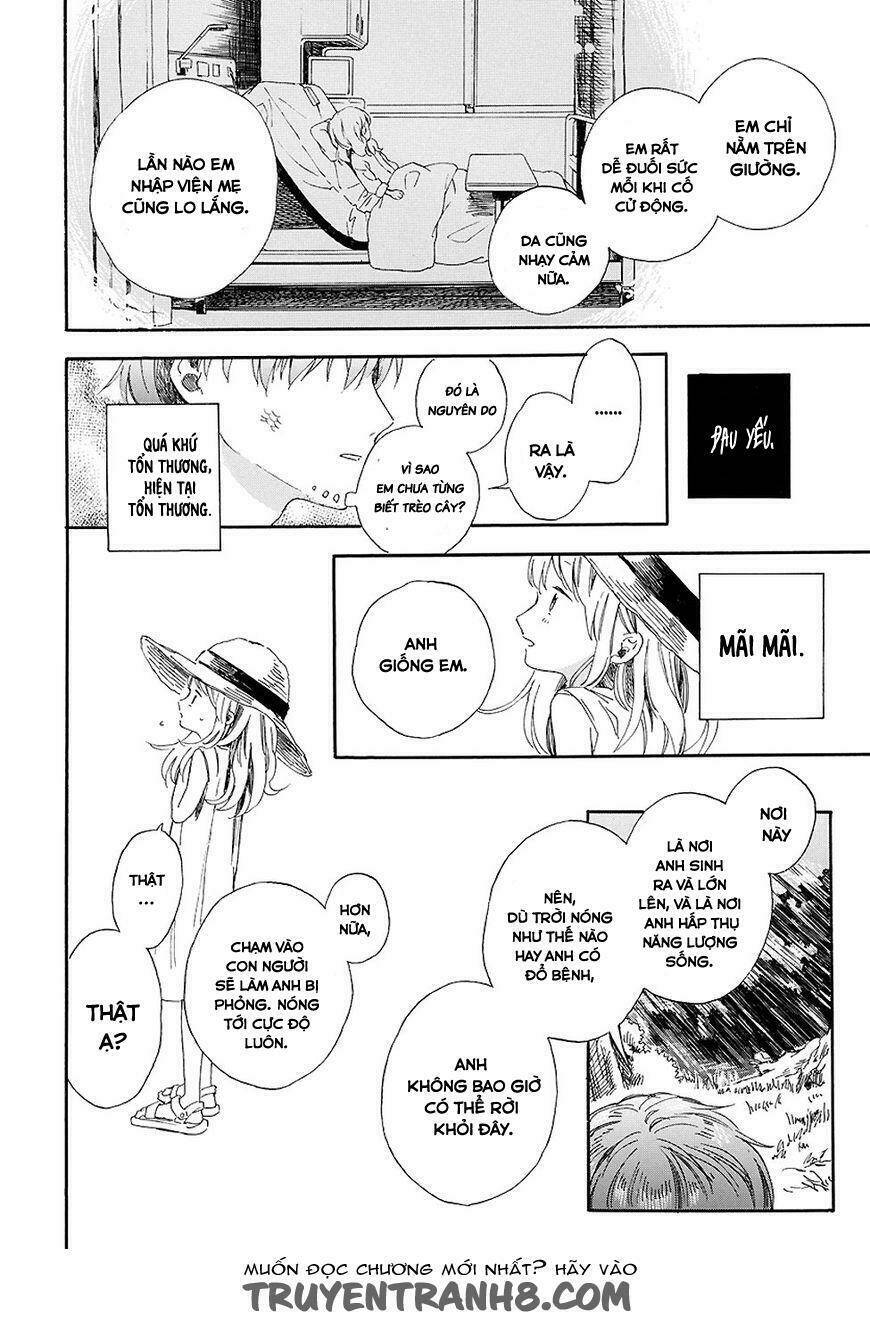 Mugiwara Boushi To Koi - Chapter 1 - Page 13