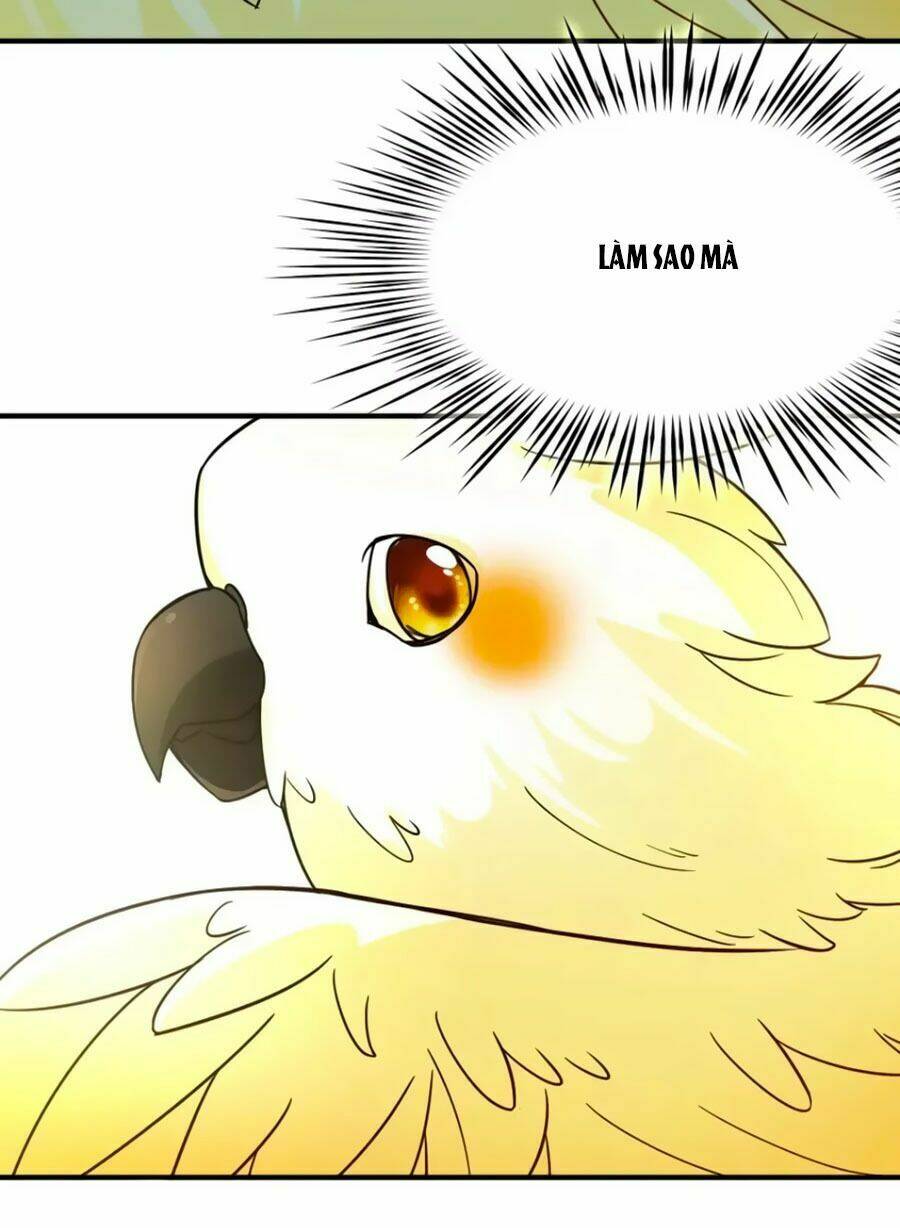 Huyền Vũ Luyến Ca: Vạn Vật Sinh Linh - Chapter 36 - Page 11