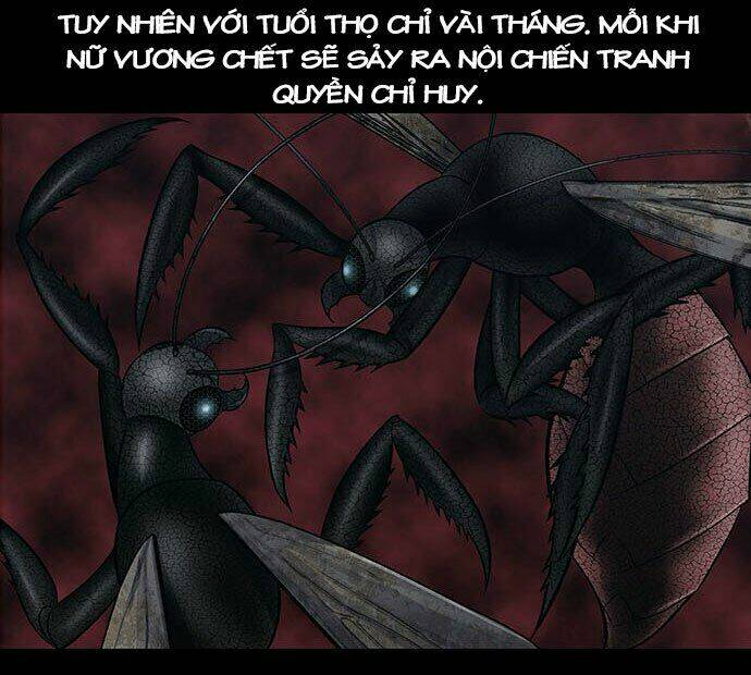 Dog Man (Chó săn) - Chapter 2 - Page 47