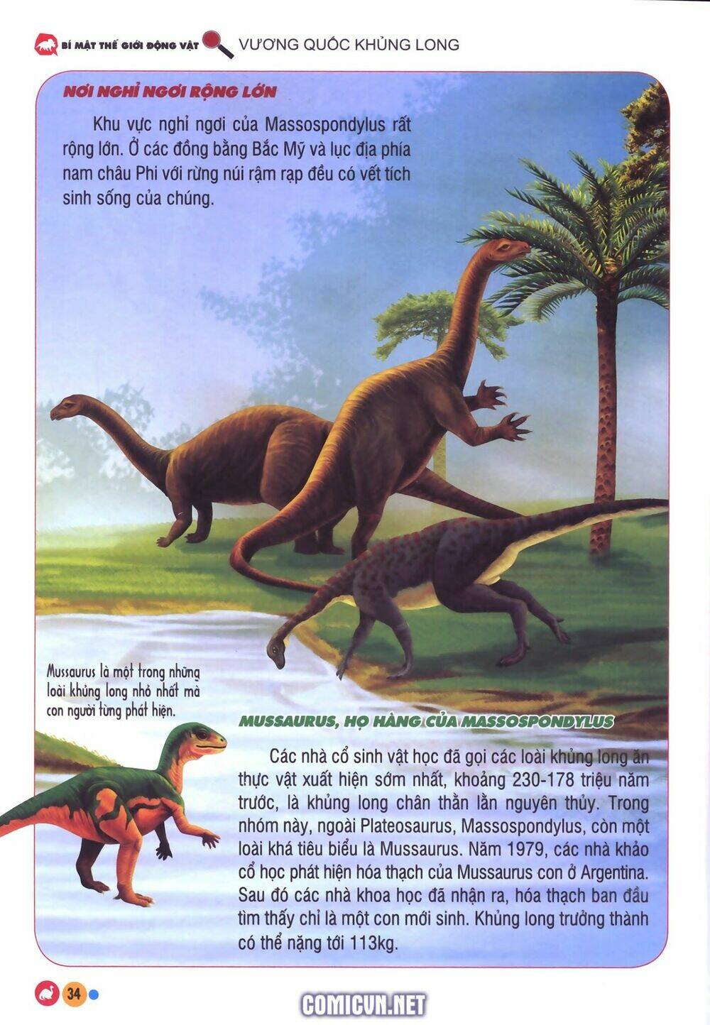 Vương Quốc Khủng Long - Chapter 2 - Page 13