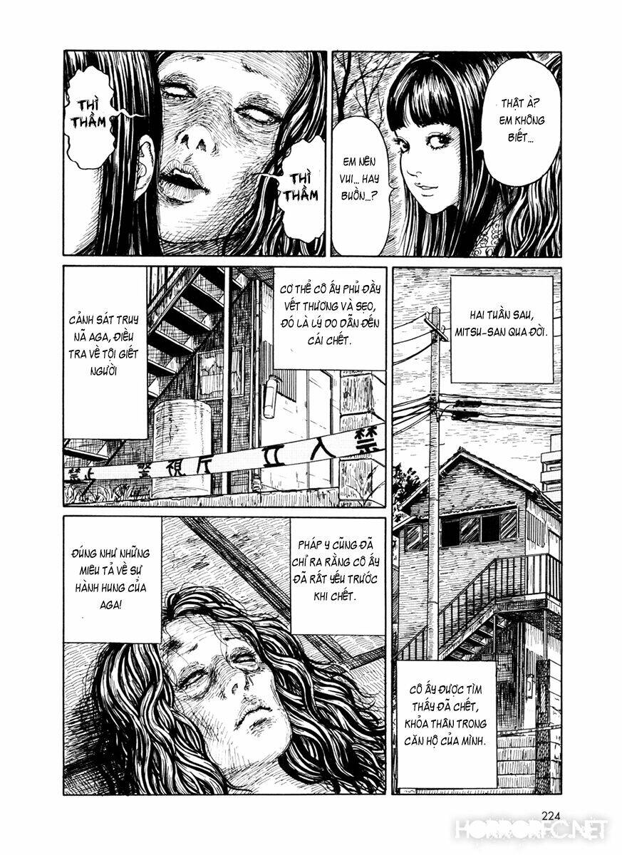 The Shard of Evil - Chapter 7.5 - Page 19