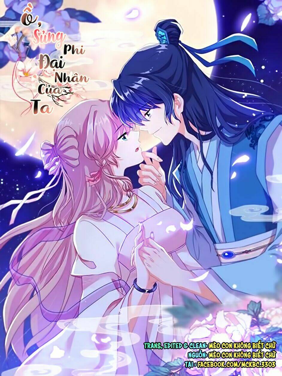 Ồ, Sủng Phi Đại Nhân Của Ta Chapter 16 - Trang 1