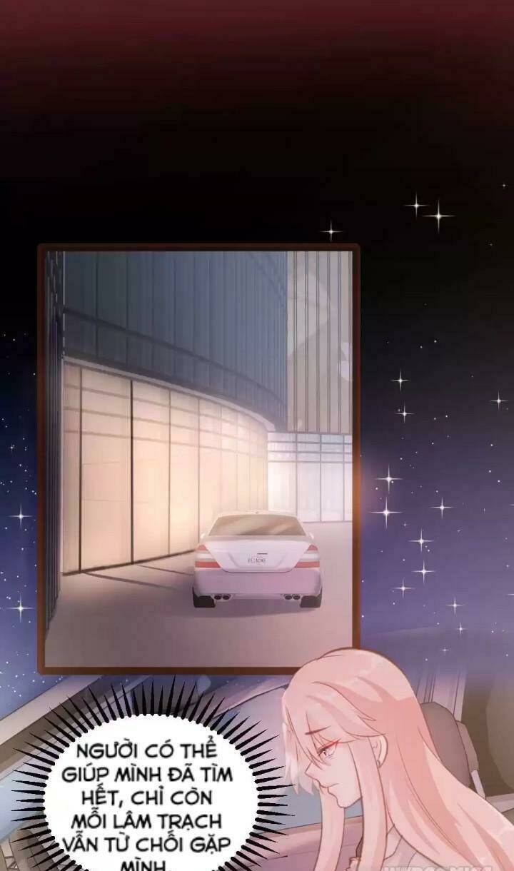 Bản Hợp Đồng Của Tổng Tài Lạnh Lùng - Chapter 48 - Page 13