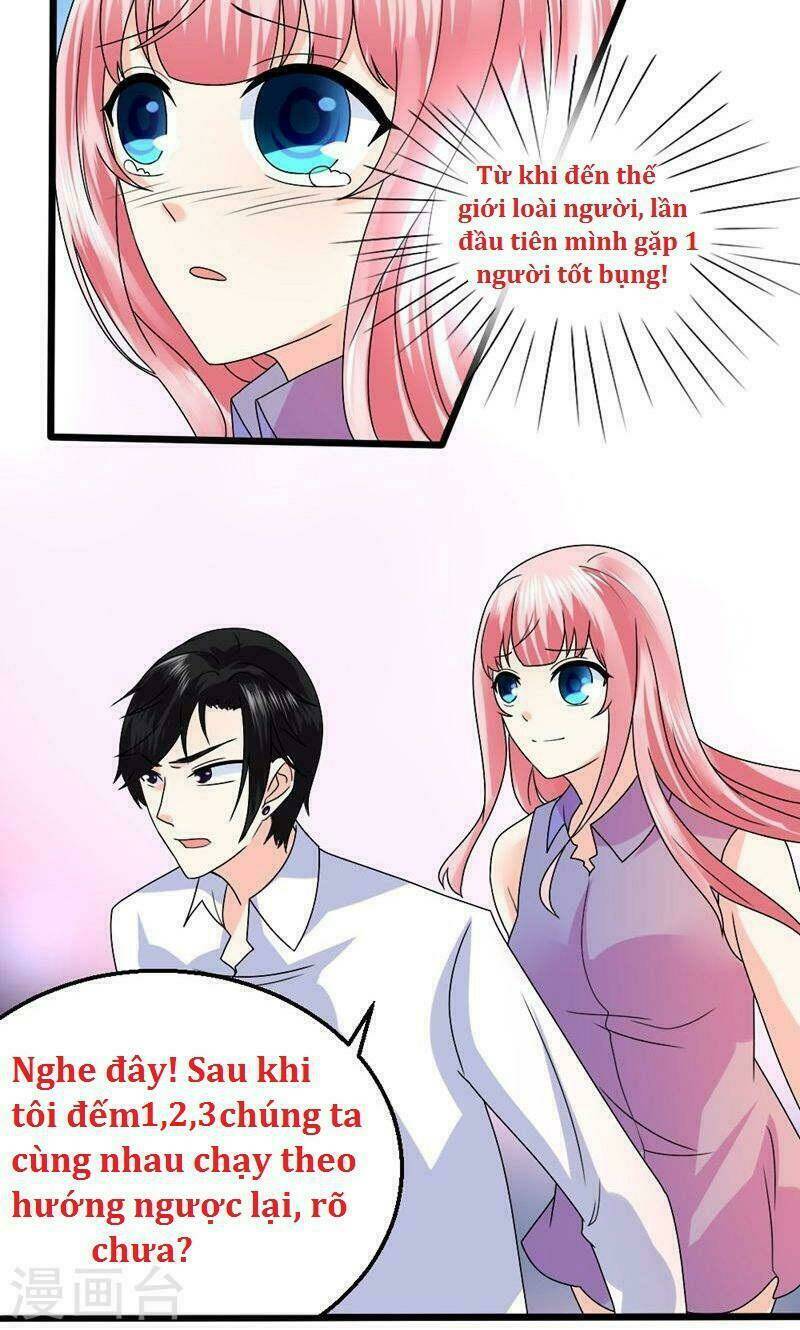 Sủng Vật Người Cá Của Tổng Tài - Chapter 4 - Page 13