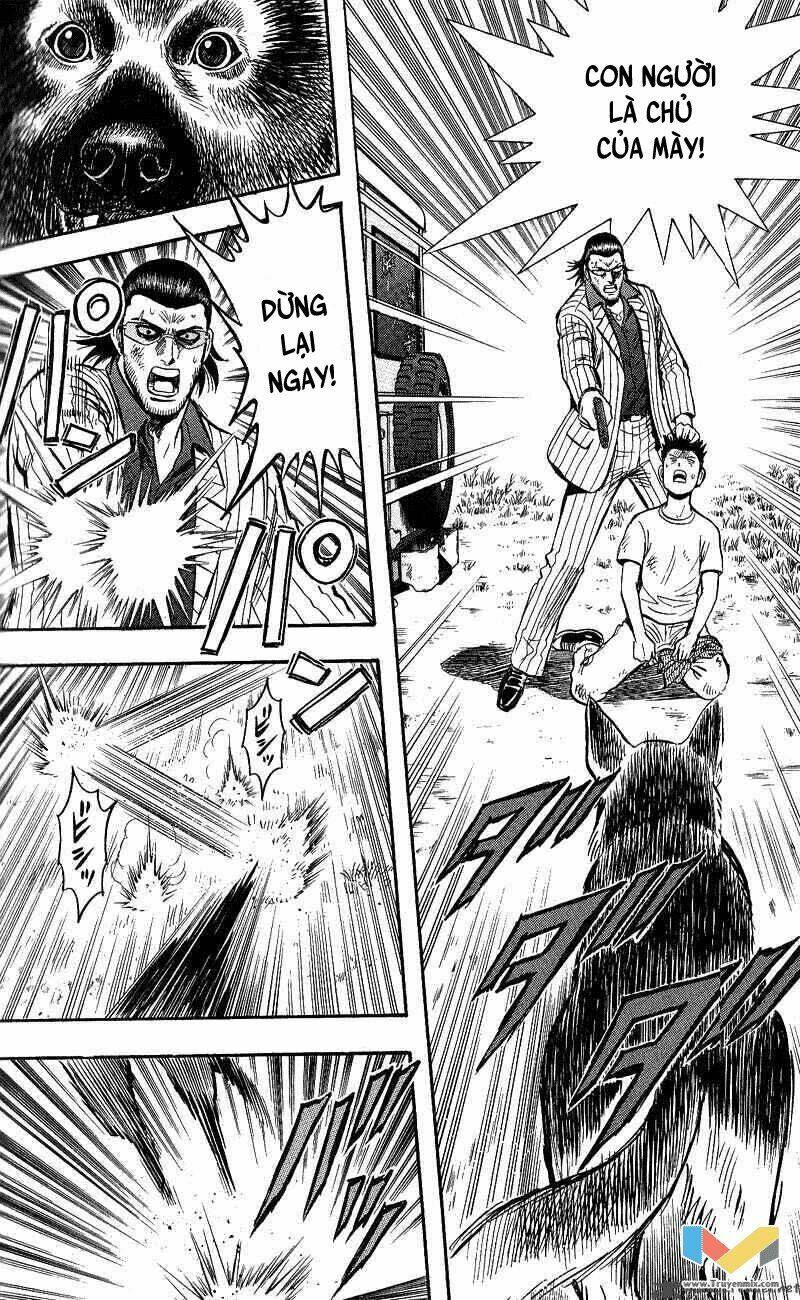 Animal Sense - Chapter 13 - Page 17