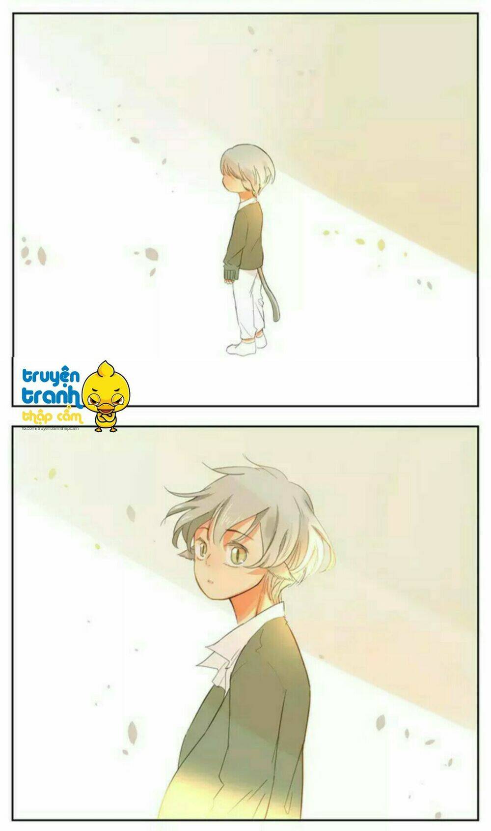 Cứu mạng ! Loài mèo thống trị thế giới rồi ! - Chapter 39 - Page 9