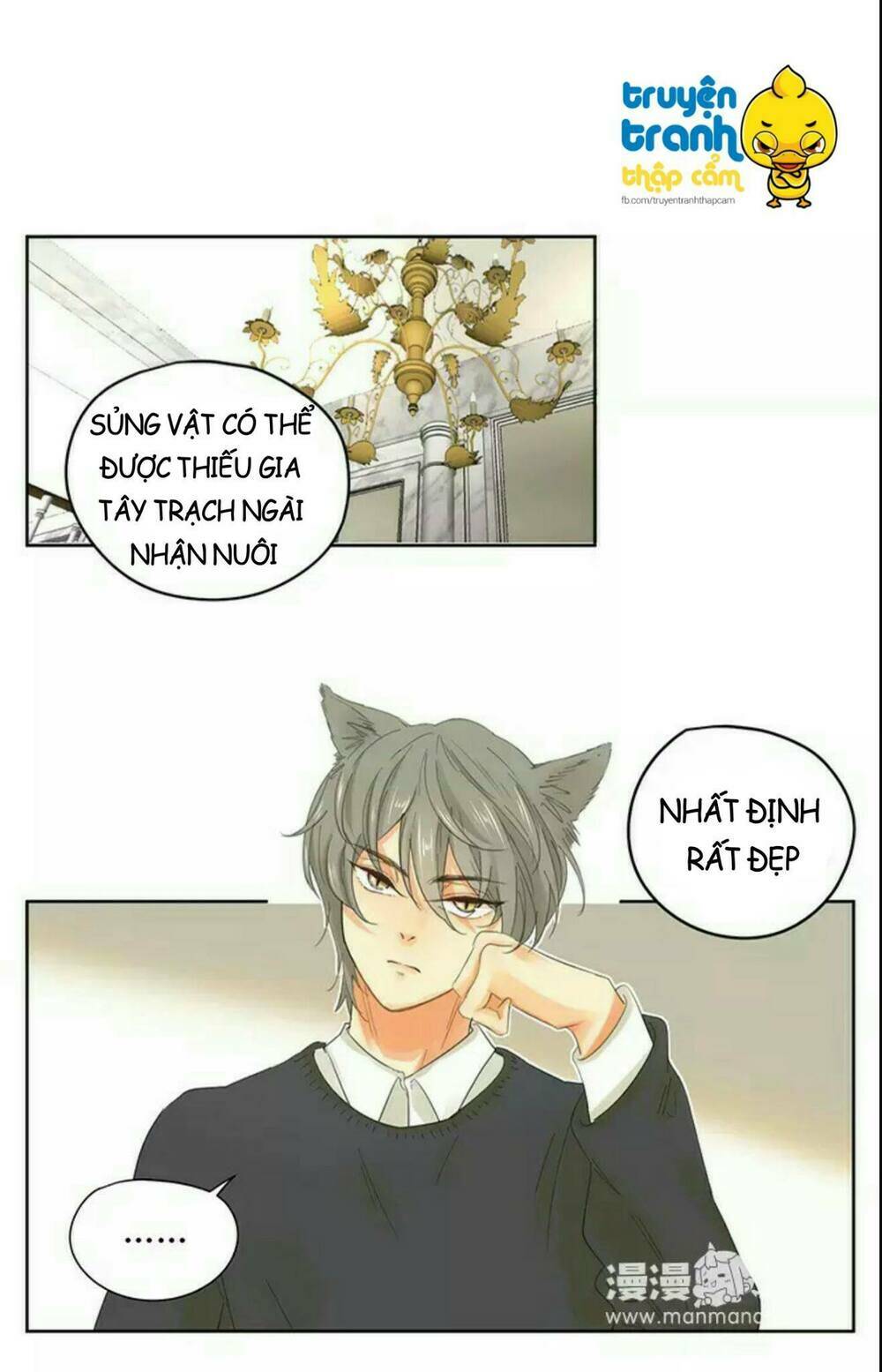 Cứu mạng ! Loài mèo thống trị thế giới rồi ! - Chapter 39 - Page 14