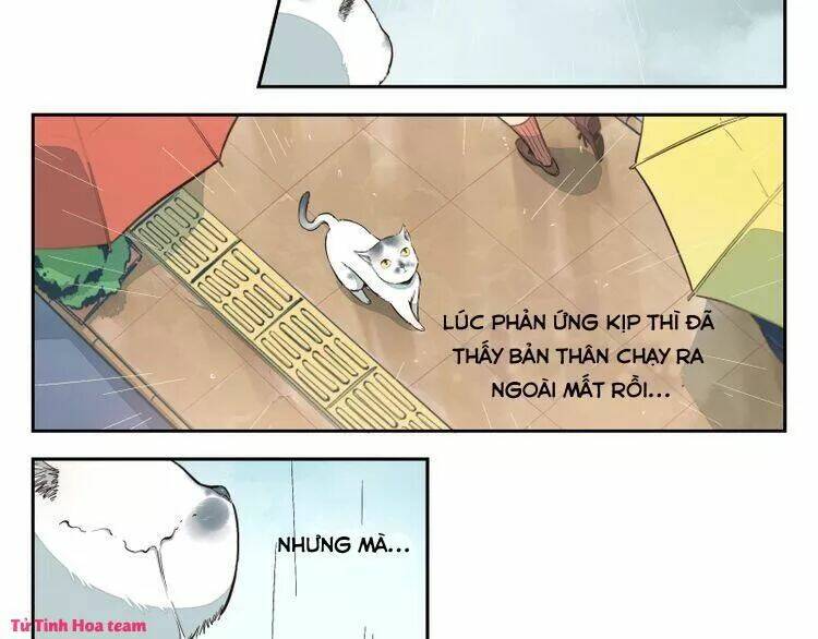 Thời khắc ấy, chúng ta gặp nhau - Chapter 20 - Page 14