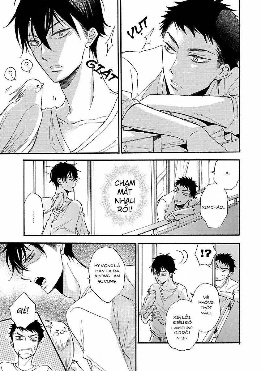 Không Thể Thích Nổi Cậu - Chapter 1 - Page 6