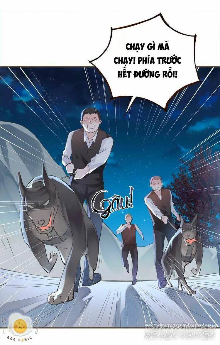 Nở Rộ Trên Bụi Gai - Chapter 47 - Page 30