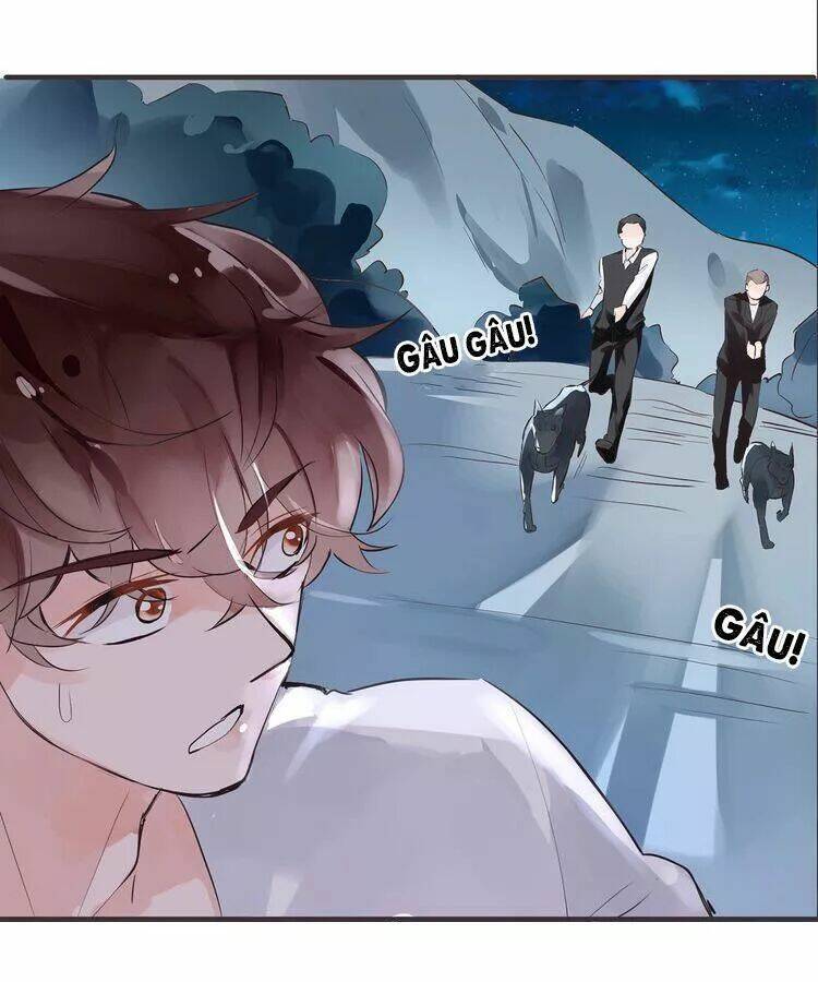 Nở Rộ Trên Bụi Gai - Chapter 47 - Page 31