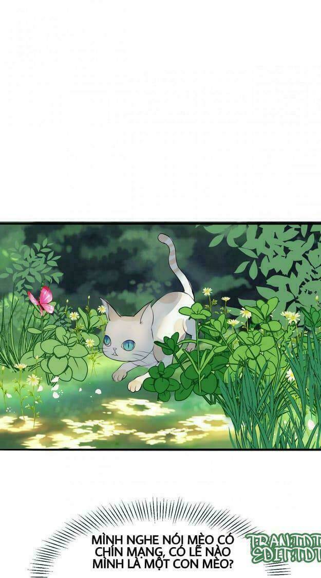 Nữ Đế Trọng Sinh - Chapter 8.2 - Page 24