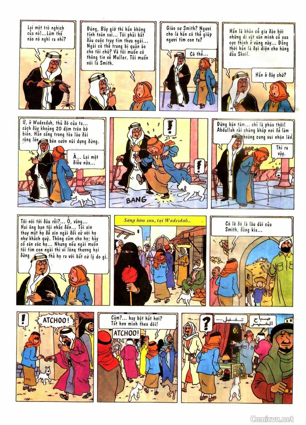 Những cuộc phiêu lưu của Tintin - Chapter 2 - Page 9