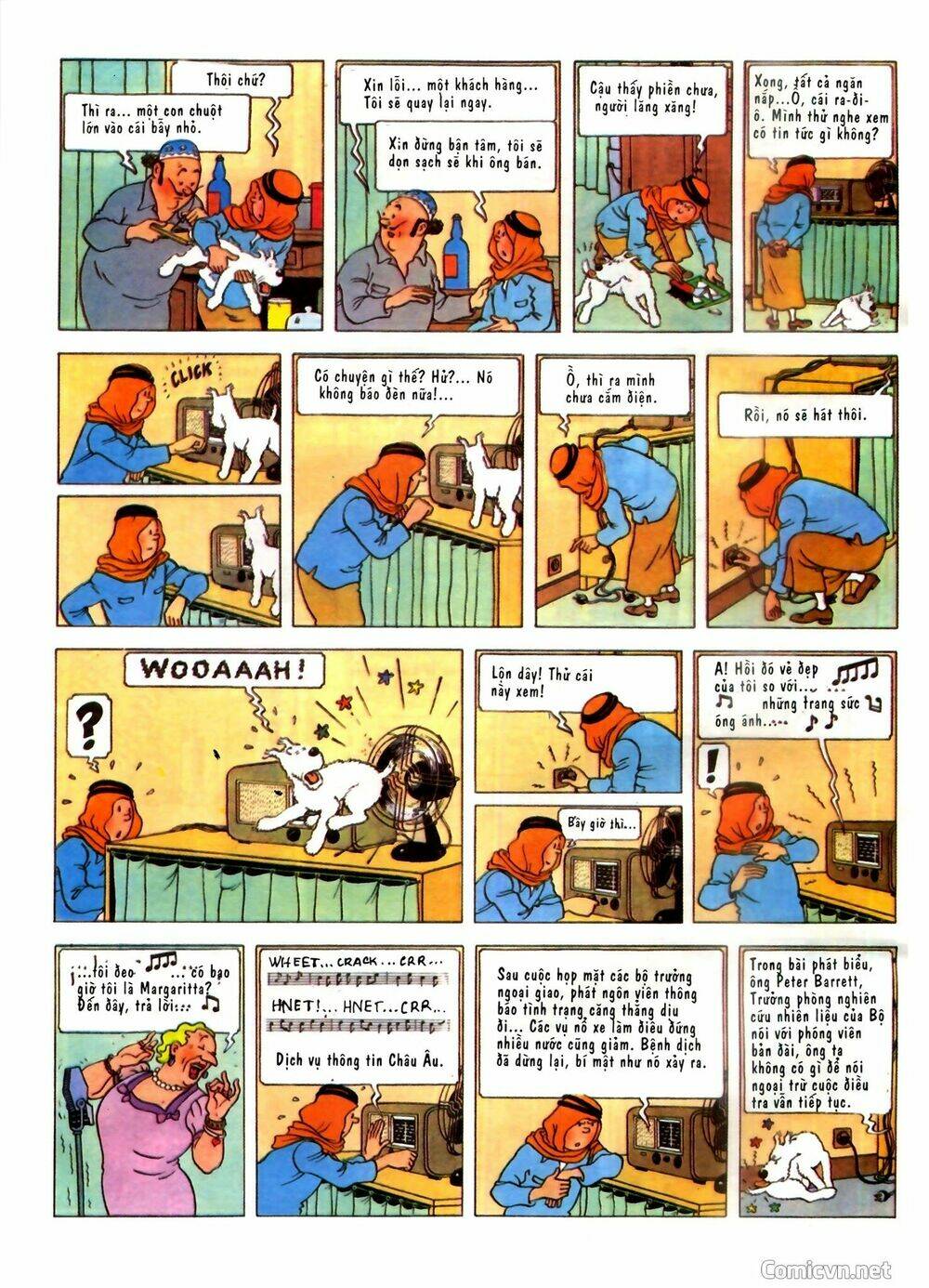 Những cuộc phiêu lưu của Tintin - Chapter 2 - Page 11
