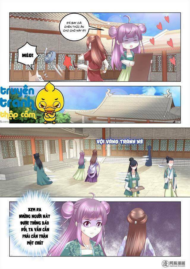 Nhị Tiểu Thư Không Dùng Được Chapter 73 - Trang 5