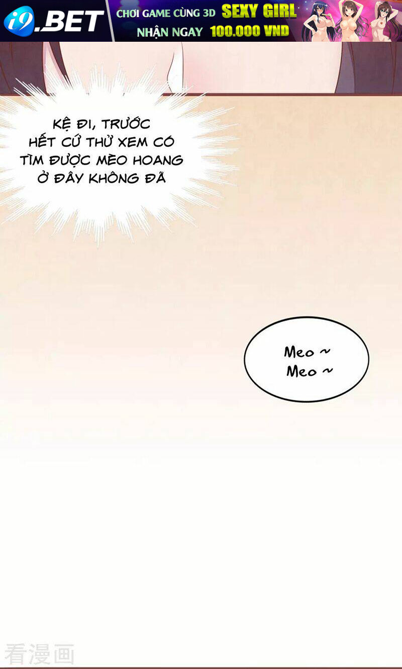 Đào Tạo Nuôi Dưỡng Bạn Trai Mèo - Chapter 56 - Page 3