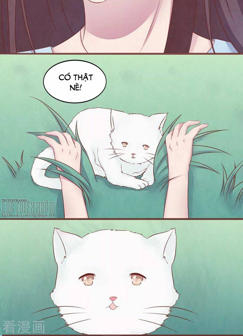 Đào Tạo Nuôi Dưỡng Bạn Trai Mèo - Chapter 56 - Page 5