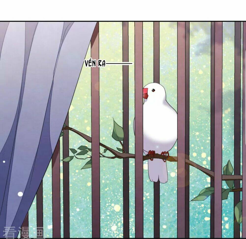 Xuyên về cổ đại làm Quốc Bảo - Chapter 48 - Page 22