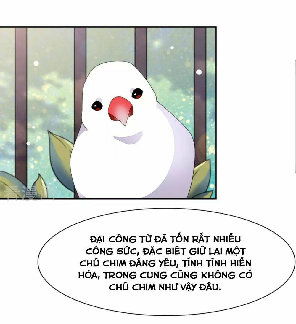 Xuyên về cổ đại làm Quốc Bảo - Chapter 48 - Page 25