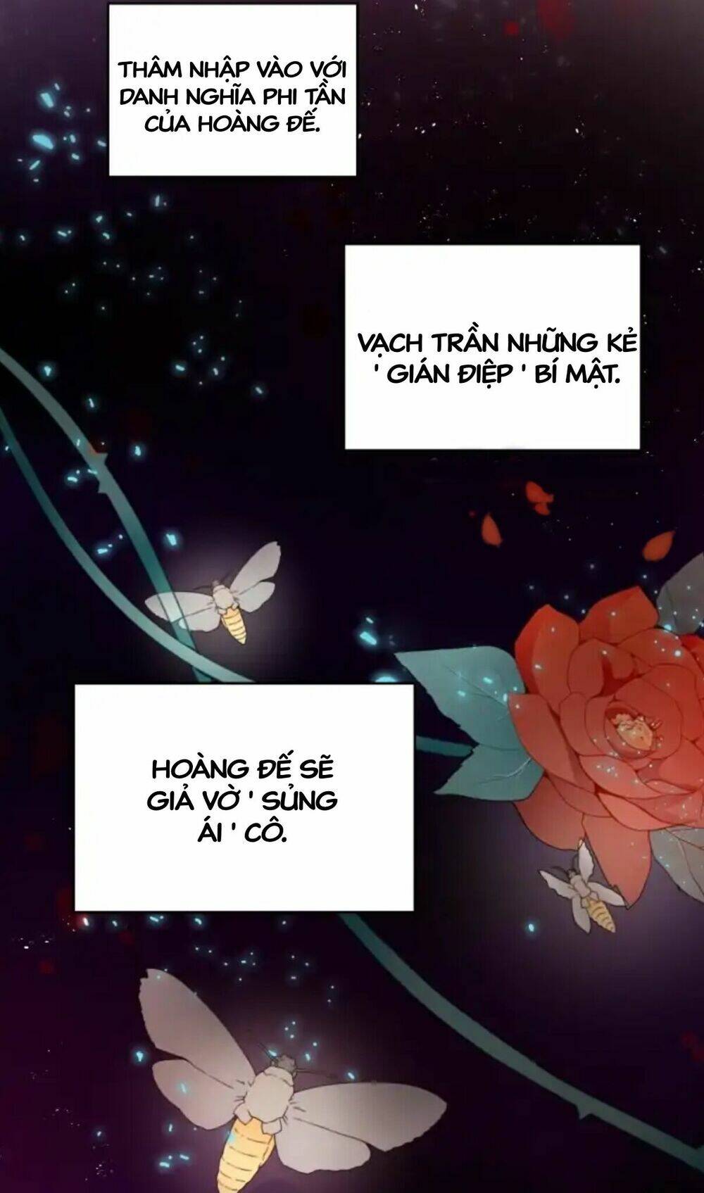 Bản Hợp Đồng Hôn Nhân - Chapter 3 - Page 11