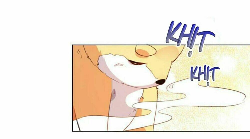 Hôm Nay Lại Cũng Không Thể Biến Thành Người Được - Chapter 6 - Page 22