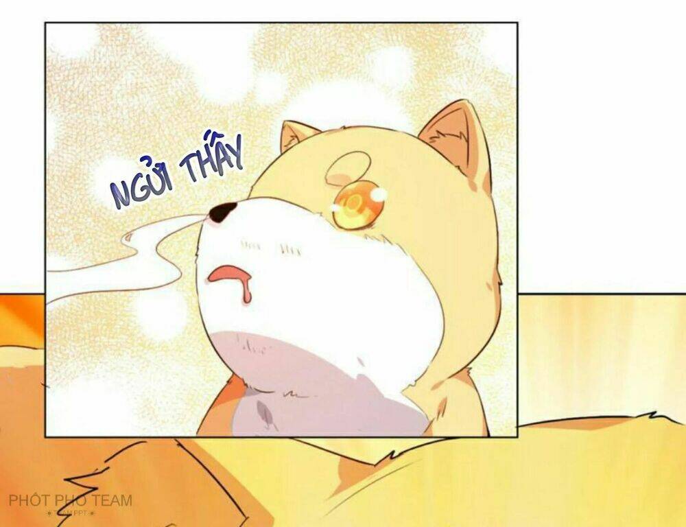 Hôm Nay Lại Cũng Không Thể Biến Thành Người Được - Chapter 6 - Page 23