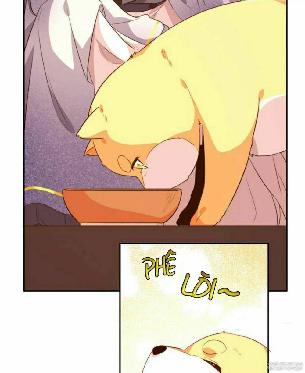 Hôm Nay Lại Cũng Không Thể Biến Thành Người Được - Chapter 6 - Page 27