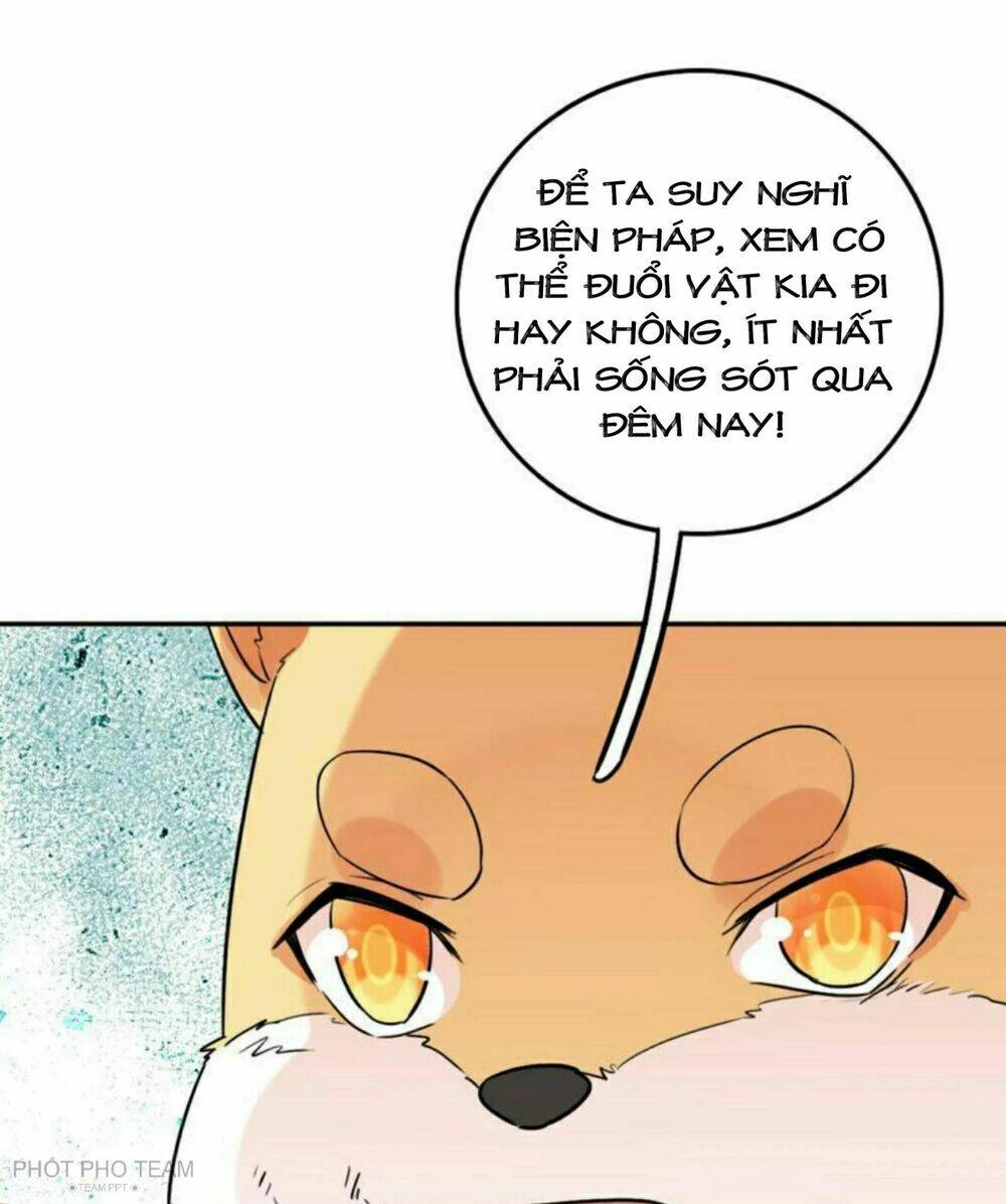 Hôm Nay Lại Cũng Không Thể Biến Thành Người Được - Chapter 6 - Page 43