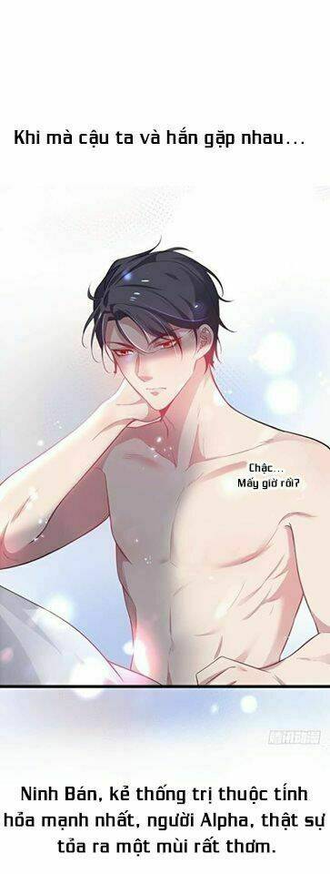 Trí mệnh dưỡng khí - Chapter 0 - Page 6