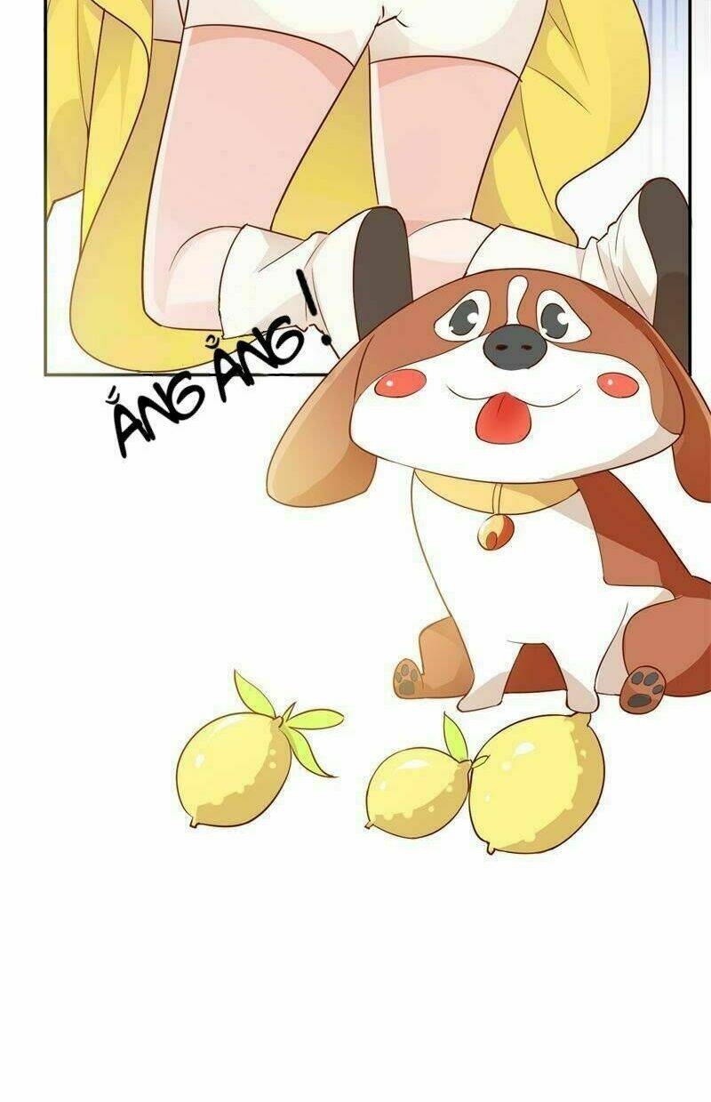 Gặp gỡ định mệnh - Chapter 1 - Page 25