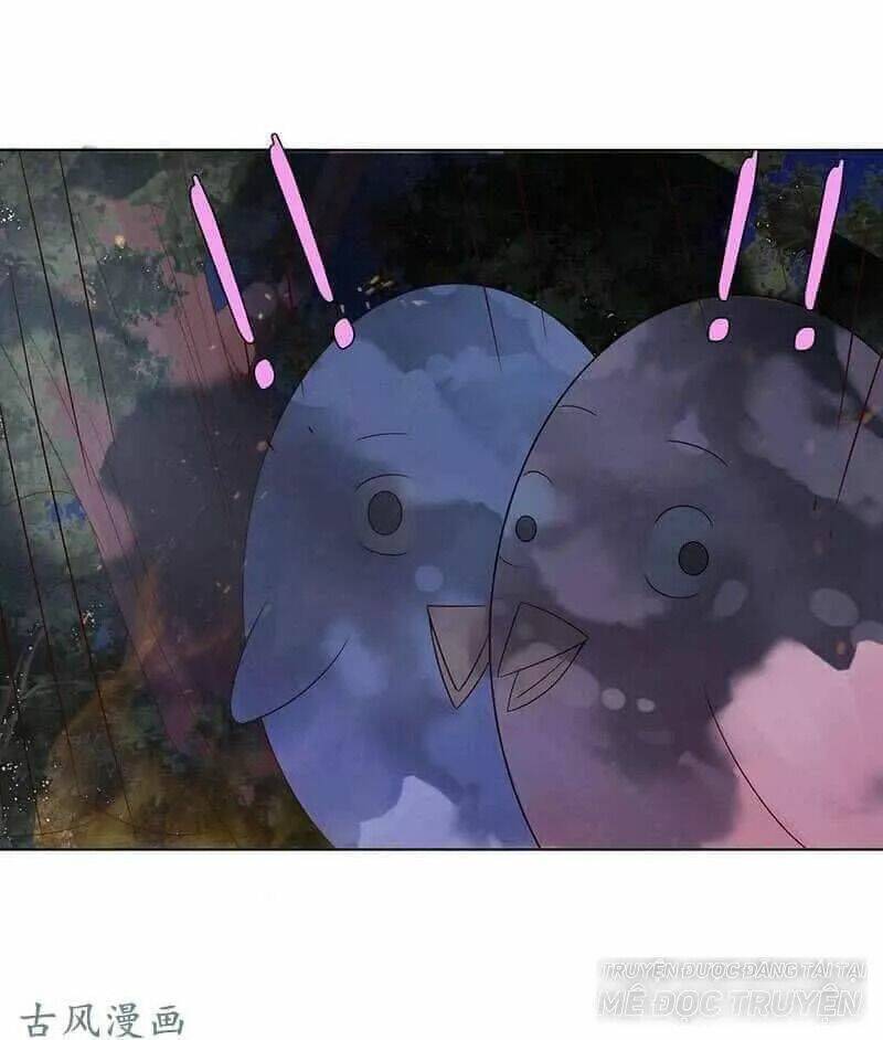 Băng Sơn Học Trưởng Không Được Chọc - Chapter 59.2 - Page 5