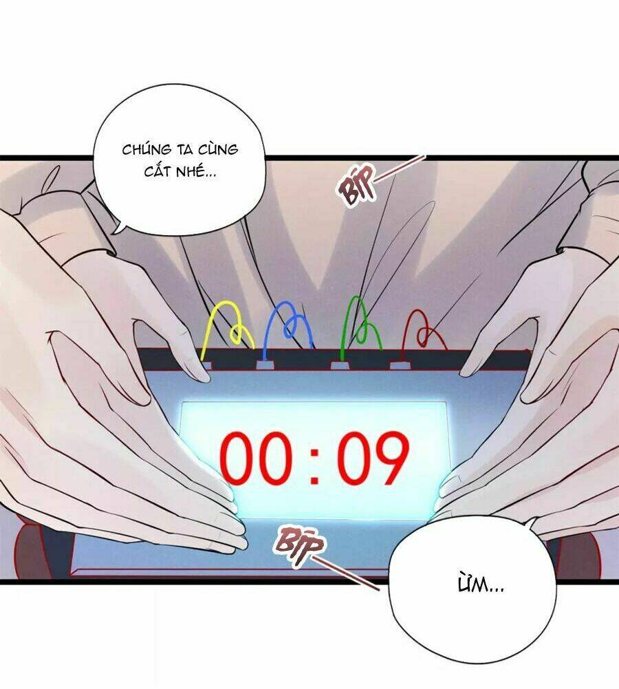 Cạm Bẫy Lửa Tình - Chapter 80 - Page 40