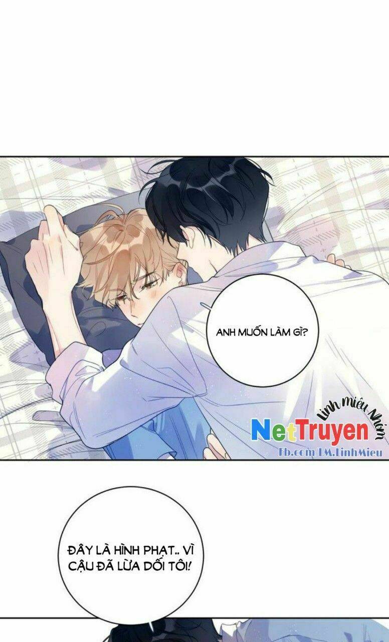 Ánh Nắng Rực Rỡ Của Tinh Trình - Chapter 4 - Page 12