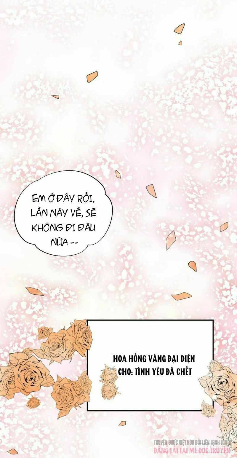 Phi Hành Tinh Cầu Bay - Chapter 1 - Page 4