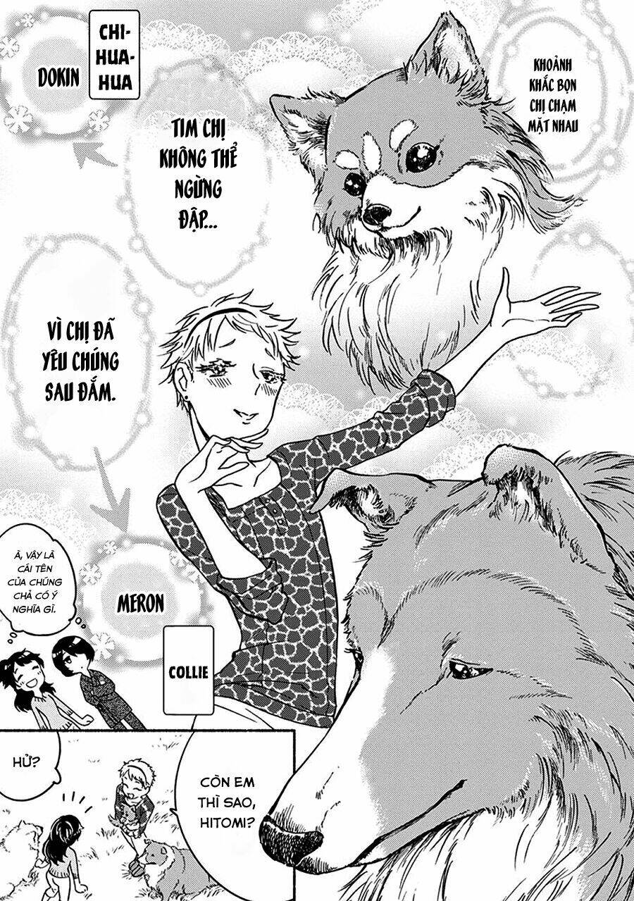 One-room Wanko - Chapter 2 - Page 10