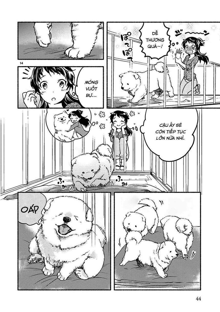 One-room Wanko - Chapter 2 - Page 13