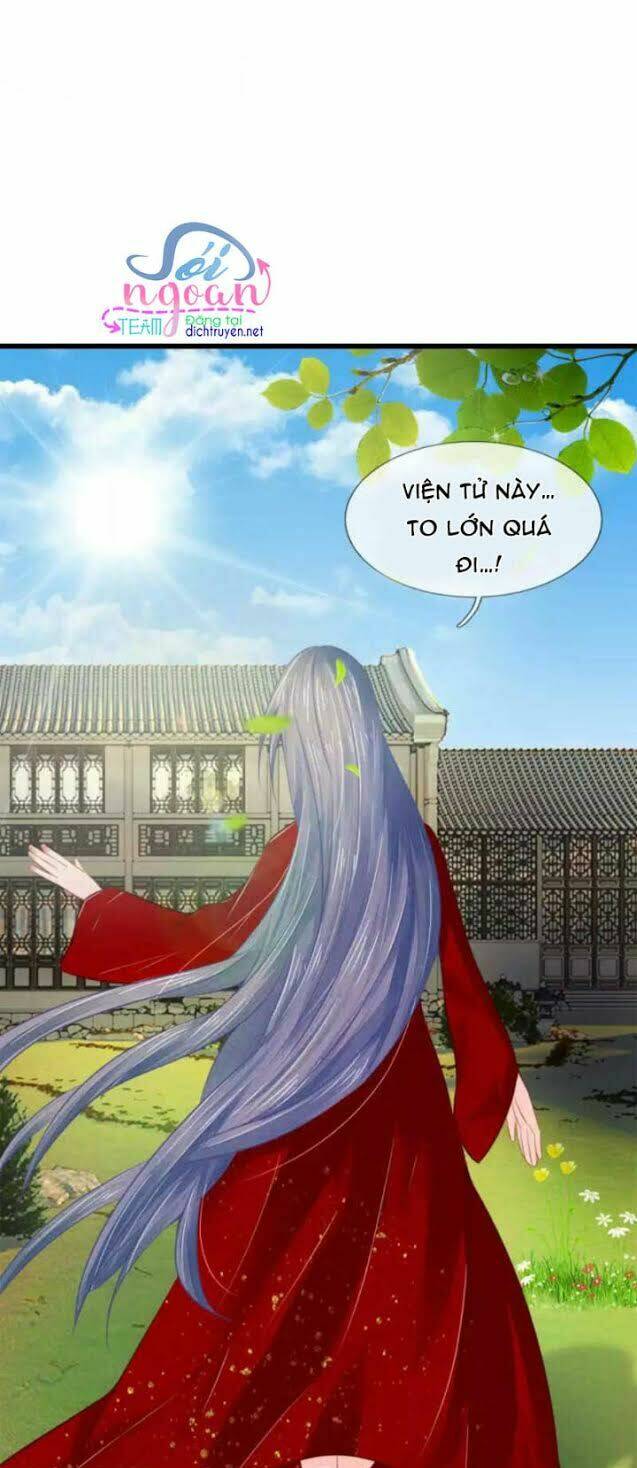 Y Phi Quyền Khuynh Thiên Hạ - Chapter 36 - Page 3