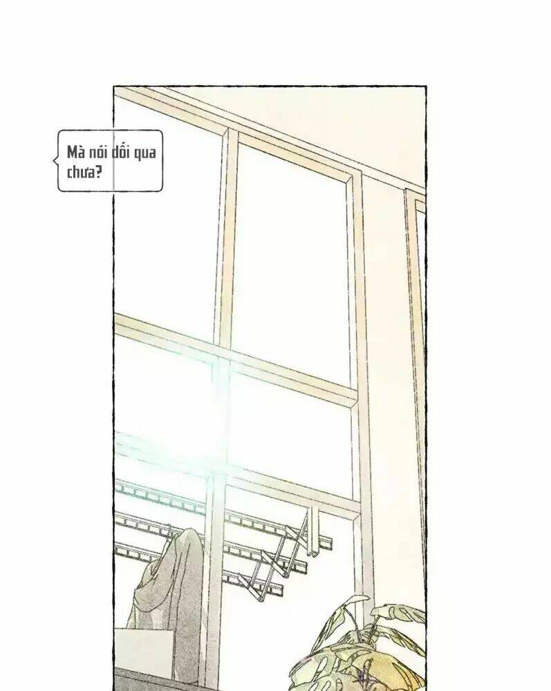 Bắt Đầu Từ 1 Lời Nói Dối - Chapter 4 - Page 29