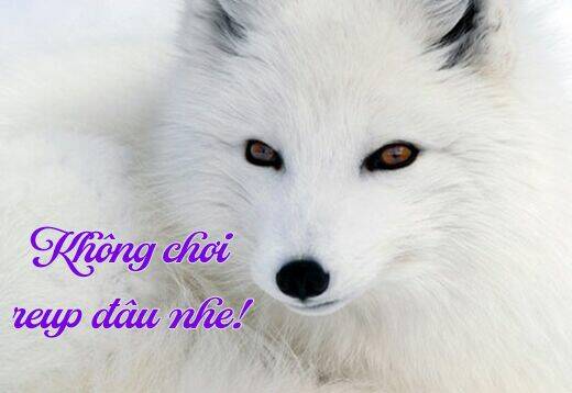 Ookami he no Yomeiri - Chapter 2 - Page 22