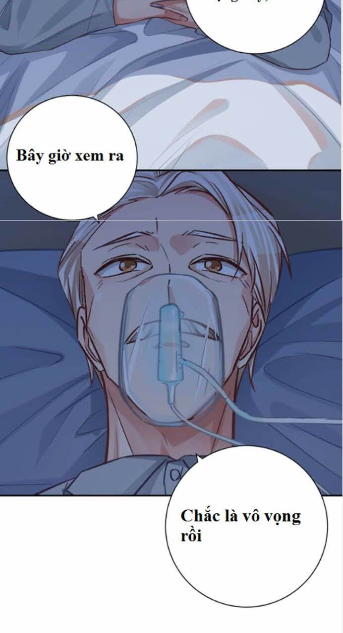 Trọng Sinh Để Ngủ Với Ảnh Đế - Chapter 235 - Page 29