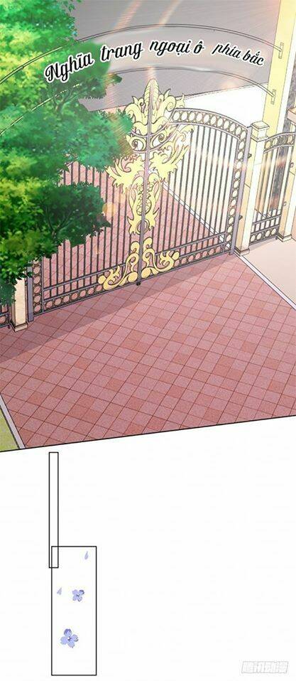 Khế Ước Với Người Yêu Cũ Của Đế Thiếu - Chapter 1 - Page 45