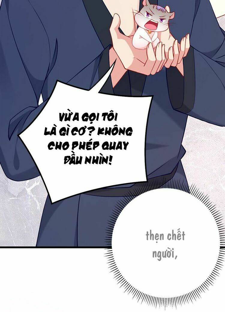 Kế Ước Ngọt Sủng:Quốc Dân Lão Công Đích Tiểu Chiếm Giữ Thử - Chapter 4 - Page 3