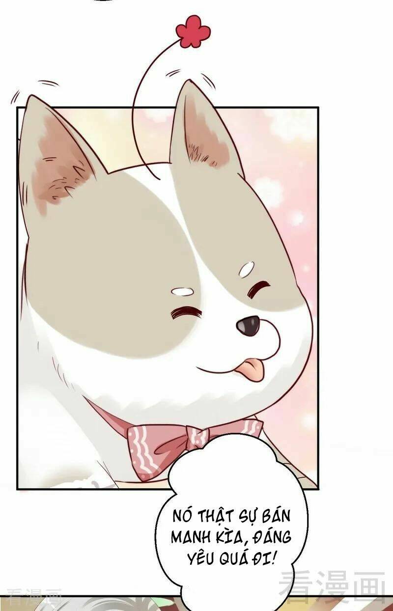 Y Tá Ngọt Ngào Của Hoàng Tử - Chapter 30 - Page 18