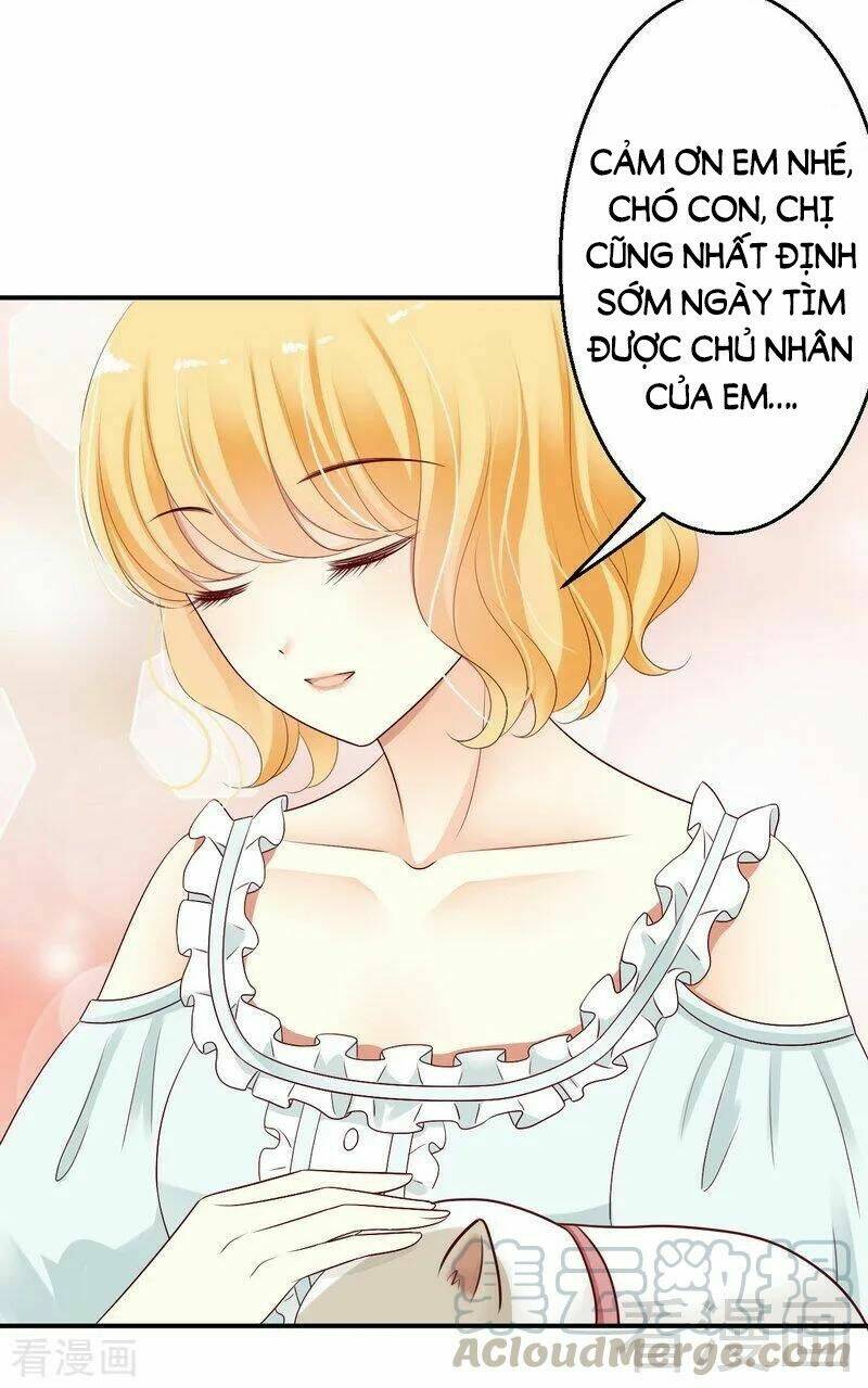 Y Tá Ngọt Ngào Của Hoàng Tử - Chapter 30 - Page 20