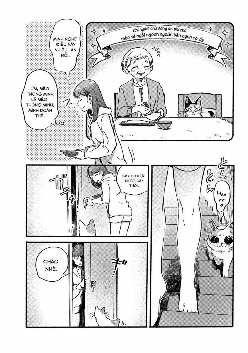 Nekodamari - Chapter 13 - Page 6