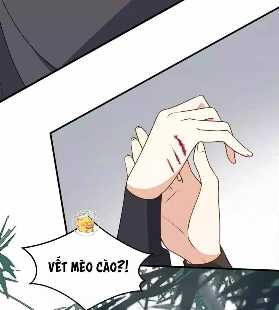 Trùng Sinh Chuyên Sủng Độc Phi Của Nhiếp Chính Vương - Chapter 39 - Page 73