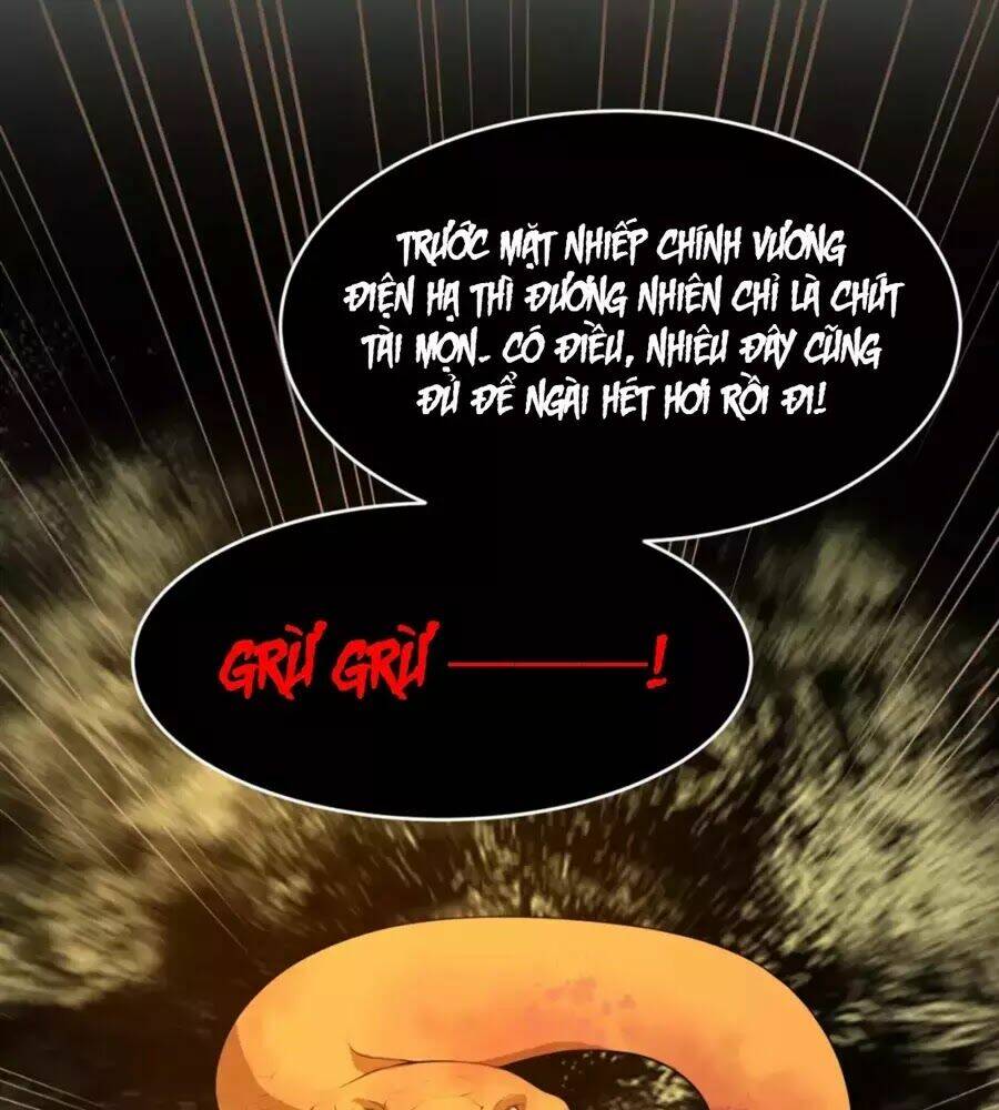 Trùng Sinh Chuyên Sủng Độc Phi Của Nhiếp Chính Vương - Chapter 41 - Page 11