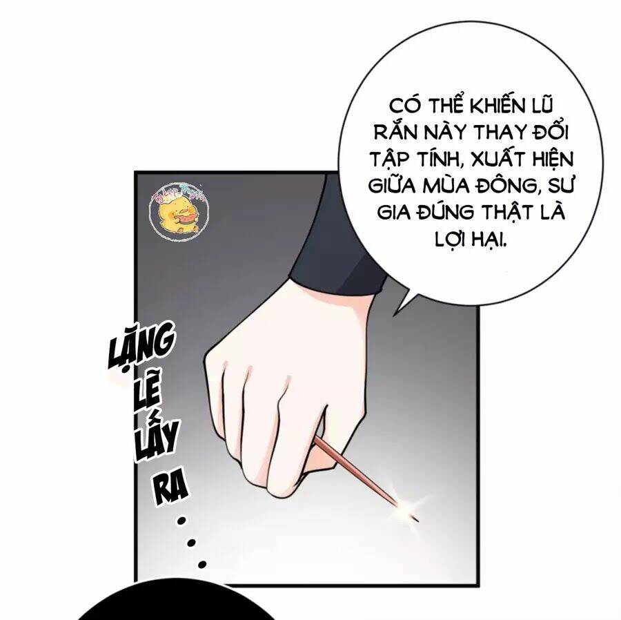 Trùng Sinh Chuyên Sủng Độc Phi Của Nhiếp Chính Vương - Chapter 41 - Page 19