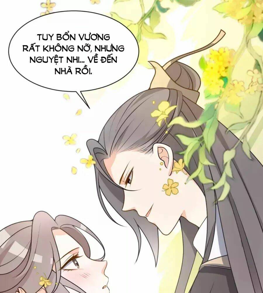 Trùng Sinh Chuyên Sủng Độc Phi Của Nhiếp Chính Vương - Chapter 42 - Page 44